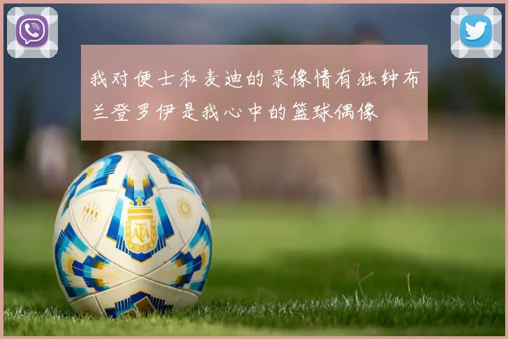 我对便士和麦迪的录像情有独钟布兰登罗伊是我心中的篮球偶像