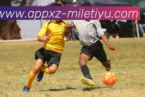 米乐体育全站App